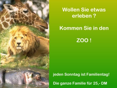 zoo.jpg (35550 Byte)